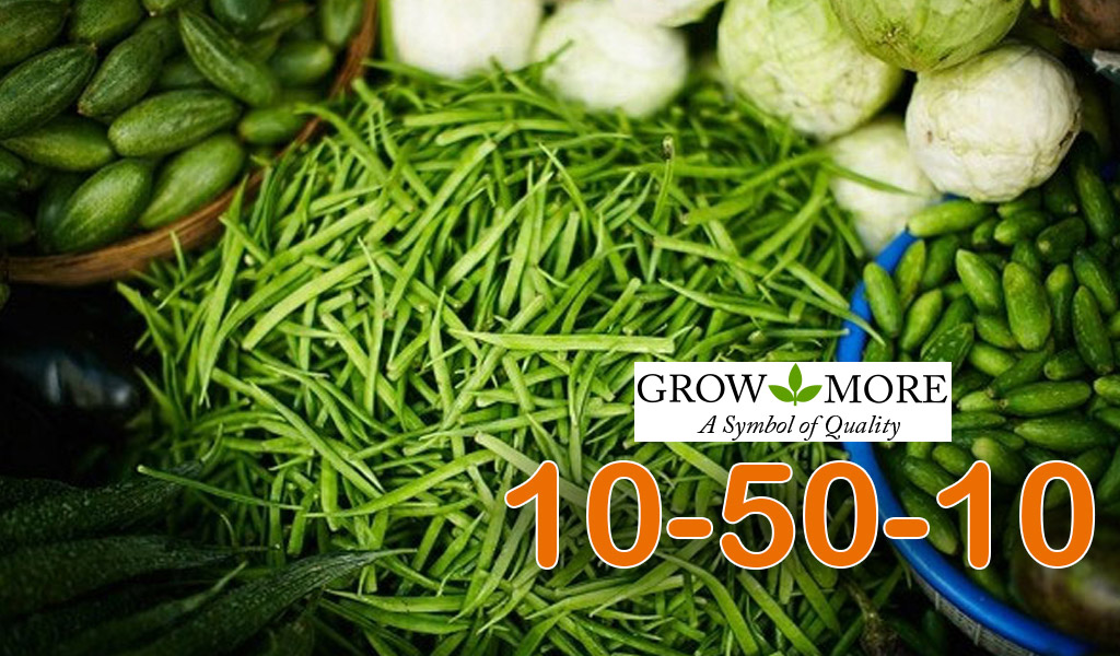 Grow More (10-50-10)